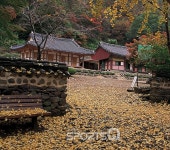 단풍명소 강천산에 여행객 몰려 전북 순창군 얼쑤! 순창고추장마을엔 셔틀버스 연결하고 무료주차장도 확충