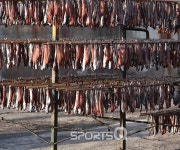 포항구룡포 과메기축제 11월 10~11일, 죽도시장에 물회·모리국수·대게등 맛집이 많고 겨울여행지인 구룡포해변엔 모텔 펜션 즐비