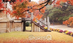 경주 토함산 불국사와 석굴암, 단풍감상과 늦가을 사색명소로 추천할만! 맛집과 펜션 수두룩