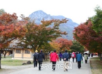 백양사 단풍축제 이번주말 끝! 전남 장성 백암산 백학봉 오르는 대표적 등산코스는 10km 5시간