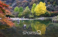 백양사 단풍축제 이번주말 끝! 전남 장성 백암산 백학봉 오르는 대표적 등산코스는 10km 5시간