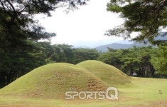 핑크뮬리 피던 첨성대와 단풍명소 불국사만 찾지 말고 경주 남산을 여행하라