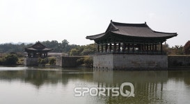 핑크뮬리 피던 첨성대와 단풍명소 불국사만 찾지 말고 경주 남산을 여행하라