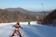 1월18일~2월3일 태백산눈축제 열릴 당골광장, 강원도의 가볼만한 곳! 스키·보드·눈썰매장 갖춰진 오투리조트와 태백시내 한우·닭고기... 