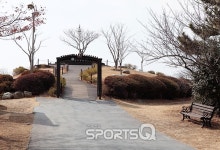 동백꽃 개화시기에 가볼만한 곳 엄지척! 고급휴양 숙박지인 클럽 이에스리조트, 통영국제음악당, 루지, 동피랑벽화마을 등 추천여행지와 맛집도 즐비