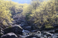 구례산수유꽃축제 열리는 산동면 위안리가 3월마다 구례의 가볼만한 곳으로 인기 있는 까닭은?