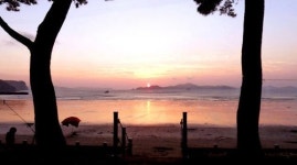 진도 관매도, 통영 만지도 출렁다리, 보령 외연도, 여수 하화도 등 섬여행지를 봄에 가볼만한 곳으로 추천