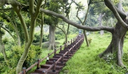 진도 관매도, 통영 만지도 출렁다리, 보령 외연도, 여수 하화도 등 섬여행지를 봄에 가볼만한 곳으로 추천