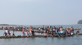 충남 보령시의 '무창포 신비의 바닷길 주꾸미도다리 축제' 3월16일~4월14일, 외연도 삽시도 등 서해안의 섬도 트레킹여행지로 눈길