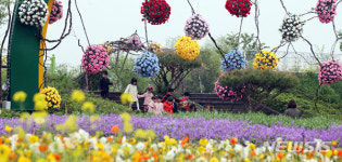 85억 황금박쥐 전시된 전남 함평나비대축제,가볼만한 곳으로 인기! 고양국제꽃박람회, 군포철쭉축제, 태안세계튤립축제, 제주... 
