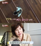 동물농장 하반신 마비 고양이 막내, 다시 천사 부부의 집으로