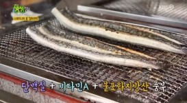 2TV 저녁 생생정보 초복 맛집 소개, 강릉 연능이닭백숙부터 시흥 장어구이 열무국수까지