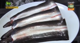 2TV 저녁 생생정보 비법 24시 밥상을 털어라, 광주 장어구이 장어탕 맛집 소개