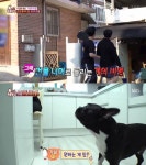동물농장 학대·폭행? 불독 만두 끔찍한 비명소리의 정체는?