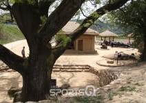 추석연휴 경북 예천삼강주막 나루터축제는 막걸리축제? 회룡포,용궁면 순대맛집도 가볼만한 곳