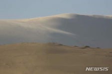 11월 23일 태안반도 신두리해변 해안사구에서 대한민국 사구축제 열려
