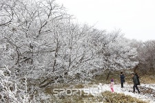 눈꽃감상 명소인 한라산 1100도로 휴게소 버스편 늘어
