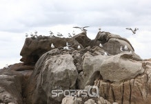 부산 기장읍 해안의 평화로운 풍경