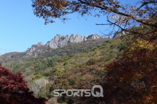 내장산국립공원 단풍 절정시기는 11월 첫째주...내장사,백양사 아기단풍 진한 유혹
