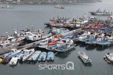 언택트 여행지 보령 오천항 앞바다에 배가 그토록 많은 이유는?