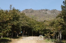 동백꽃 피는 3월엔 강진 백련사 동백나무숲을 둘러보고 차나 한잔 어때?