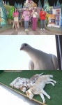 TV 동물농장 악처가 된 허스키-할아버지 러버 백비둘기-품종묘 유기사건 공개