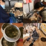 TV동물농장, 김포 불법 개농장서 犬 구출... 쏟아지는 사랑의 손길