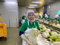 생활의달인 오늘(27일) 김밥 달인-치킨무 제조 달인-일본 나가사키 카스테라 달인-손가락 힘 달인-꽈배기 달인 소개