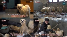 TV 동물농장 쓰레기집에서 방치된 스피츠 견주 방치가 죄인 줄 몰랐다