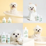 노바펫, 프리미엄 반려동물 샴푸 노바펫 수딩 샴푸 출시