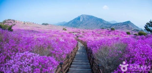 달성군, 자연과 역사를 만끽할 수 있는 가볼만한 곳은?