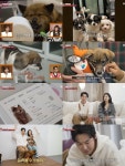 TV 동물농장 전진-류이서 부부, 만세와 동거 연장 계약 도장 꾹