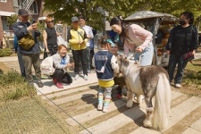 세계적 희귀마 월리, 더 누크 스튜디오 카페와 감각적 만남 성사
