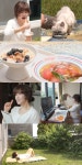 '전참시' 최강희, 이사 앞두고 집 앞 마당에서 홈캉스?! 엉뚱美 가득한 힐링 일상 '기대 만발'