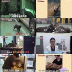 TV동물농장 길고양이 쿠자의 절절한 외침, 그 울음 뒤에 숨겨진 뭉클한 우정