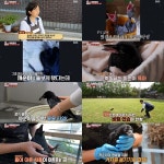 TV동물농장 까마귀 까순이와 민숙 씨의 애틋한 이별