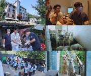 세상에 나쁜 개는 없다 427마리 개들의 충격적 보금자리 수상한 모텔 긴급 구조