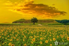 가을 정취 가득한 연천 호로고루, 역사와 자연이 깃든 가볼 만한 곳