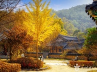 영주 가볼 만한 곳, 온천과 역사 속에서 찾는 가을날의 휴식
