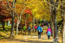 영주 가볼 만한 곳, 부석사와 미식의 즐거움이 공존하는 길