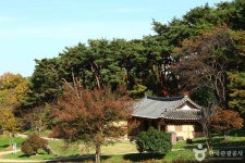 고창 가볼 만한 곳, 고인돌의 지혜와 읍성의 고즈넉함이 있는 여정