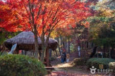 경기 양평 가볼 만한 곳, 다채로운 풍경과 특별한 미식 경험