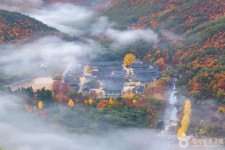 겨울에 가볼 만한 곳, 청도 운문사의 고즈넉한 풍경과 역사