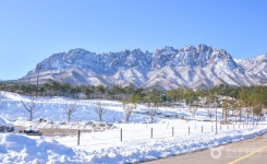속초 가볼 만한 곳, 울산바위의 웅장함과 영랑호의 겨울 정취