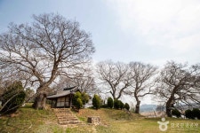 담양군 가볼 만한 곳, 자연과 문화가 어우러진 산책길