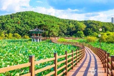 구미 가볼 만한 곳, 자연의 숨결과 평온이 공존하는 길