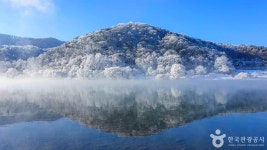 충주 가볼 만한 곳, 다채로운 맛의 향연이 펼쳐지는 여정