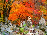 역사가 숨 쉬는 춘천 가볼 만한 곳, 천년 고찰 청평사의 풍경