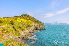 겨울에 가볼 만한 곳, 부산 남구에서 만나는 자연과 문화의 조화