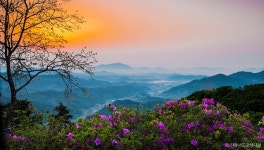 광양의 자연과 역사 가볼 만한 곳, 백운산의 겨울 풍경